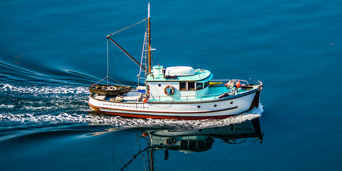 マンダラ Displacement Hull 6'10\